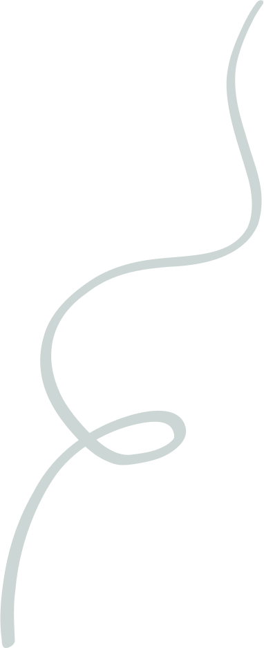 Vector