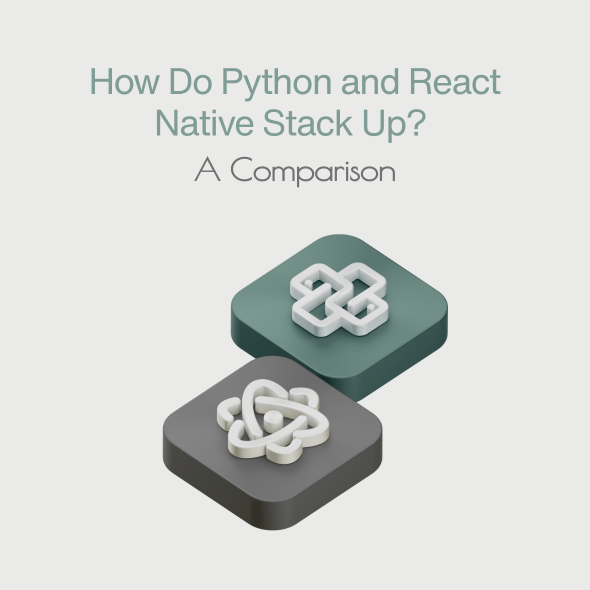 How Do Python and React Native Stack Up? A Mobile App Development Frameworks Comparison
