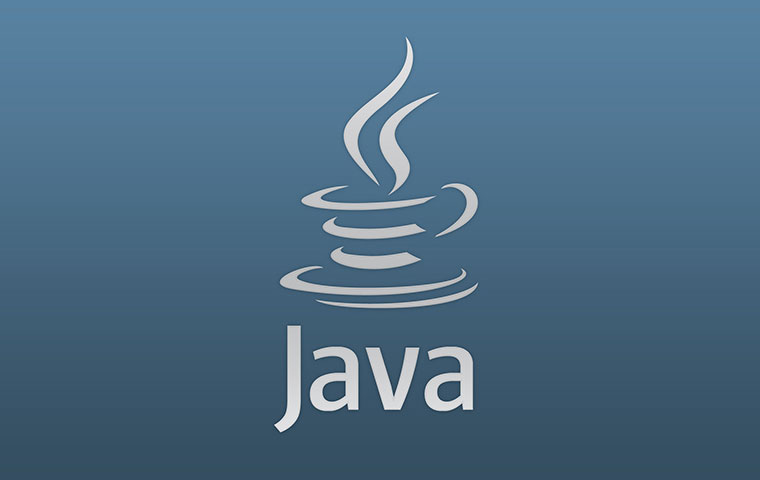 Java was made accidentally when James Gosling was working at the Sun Lab in 1992