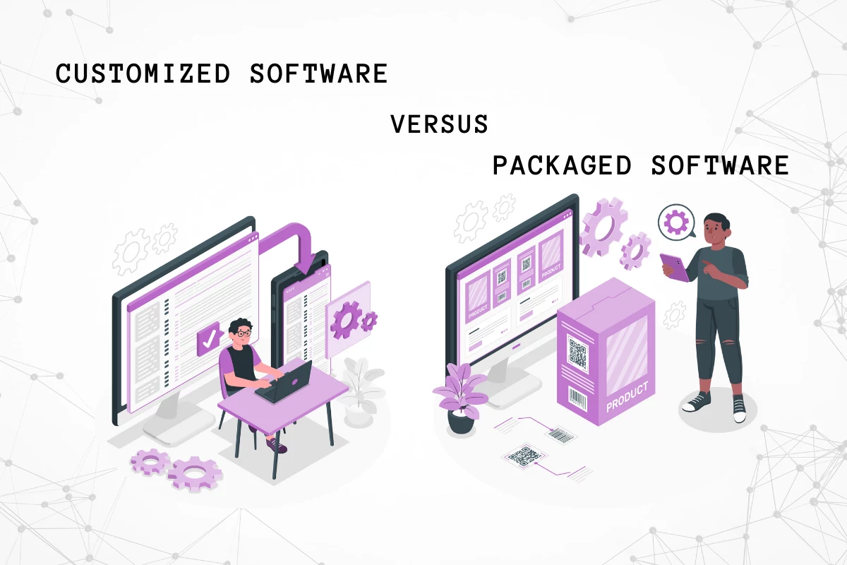 packaged software and custom software