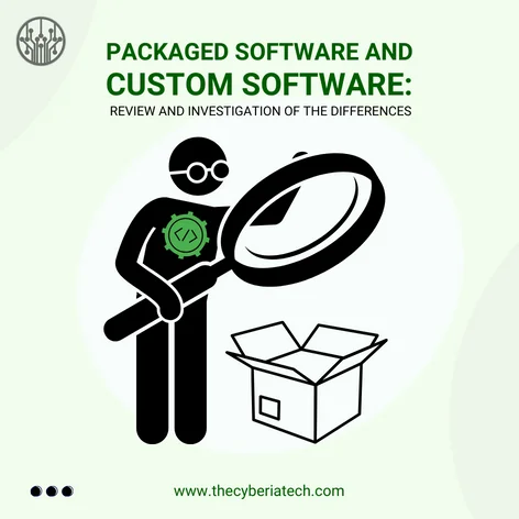 Packaged Software And Custom Software