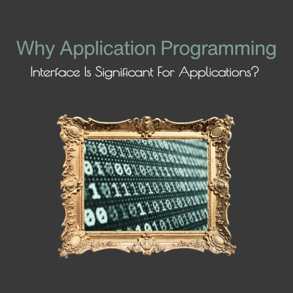 Why Application Programming Interface Is Significant For Applications?