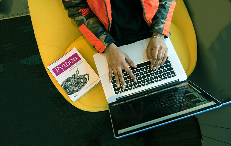 Python in web development