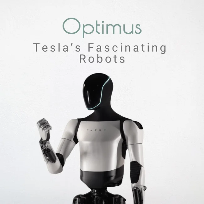 Tesla Optimus Robots and the Rise of Humanoid Innovation
