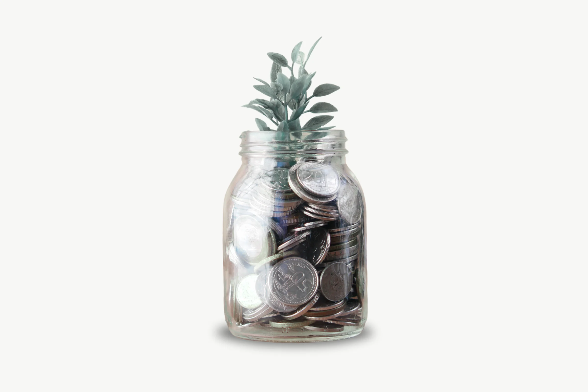 a jar with coins in it that a plat is growing from it