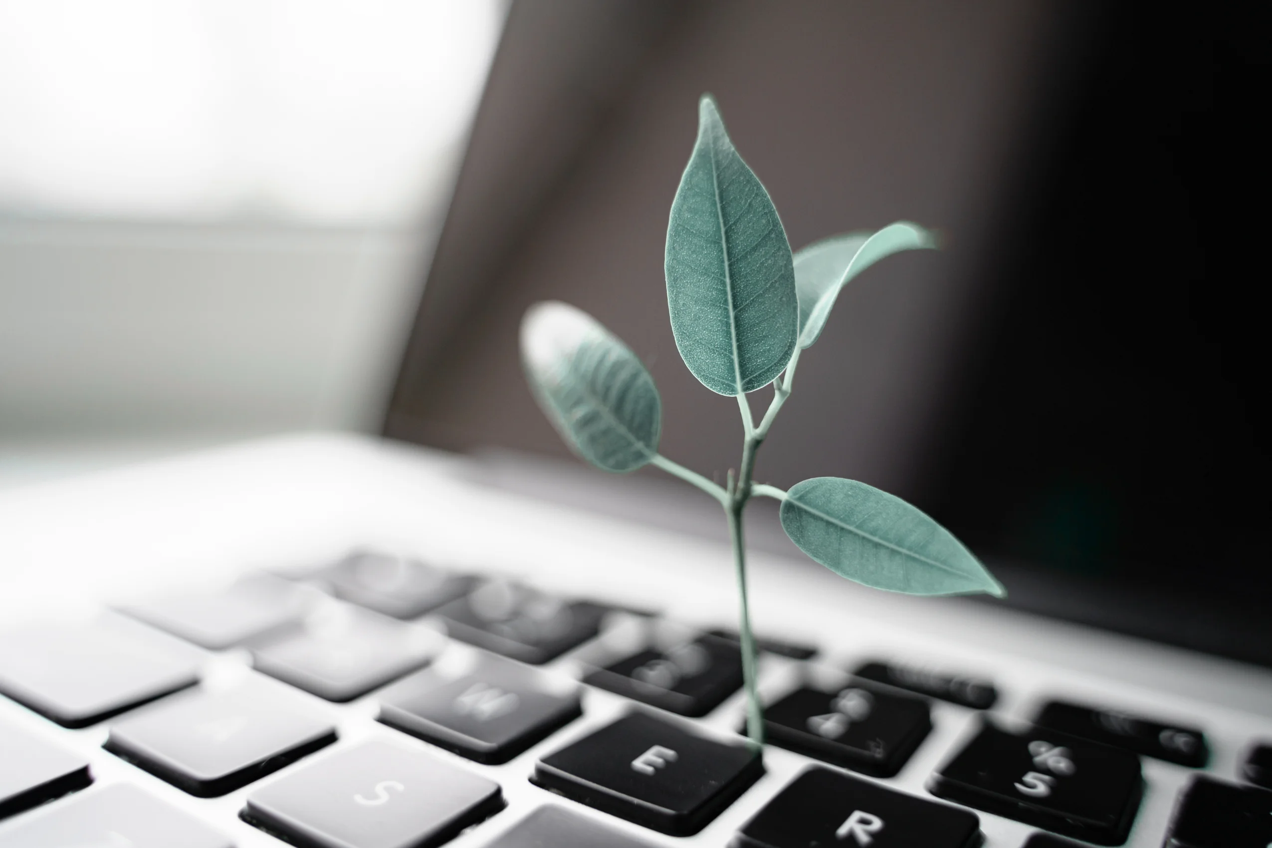 sustainable tech